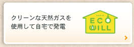 ECO WILL